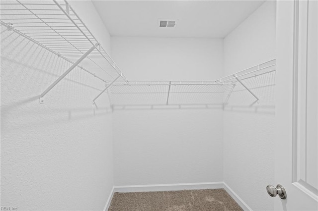 walk in closet with carpet flooring