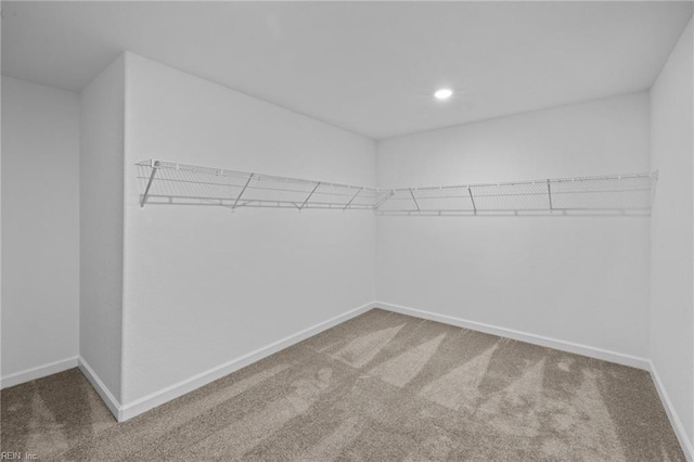 spacious closet featuring carpet floors