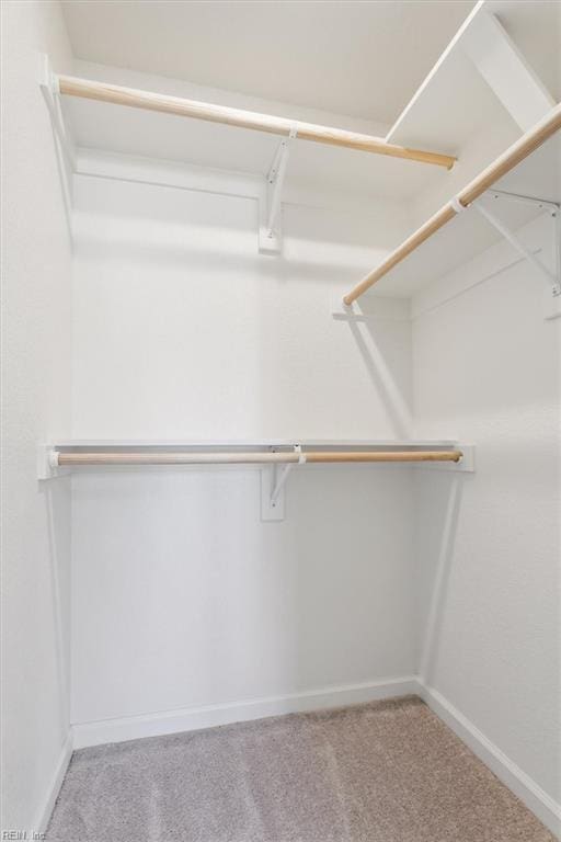 walk in closet with light colored carpet