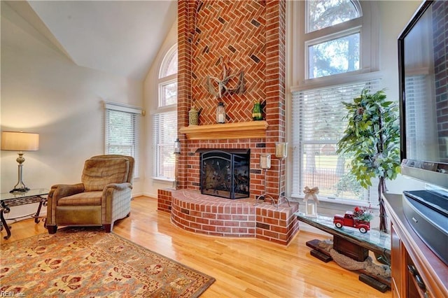 living room with a fireplace, wood-type flooring, and high vaulted ceiling