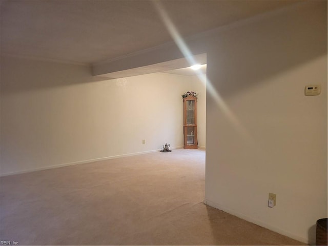 additional living space with carpet flooring