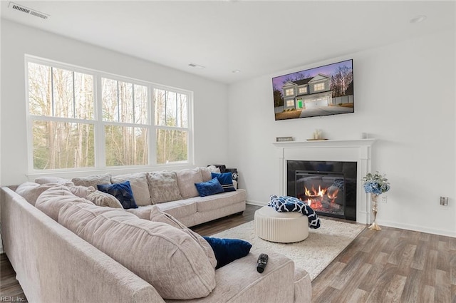 living room featuring hardwood / wood-style floors