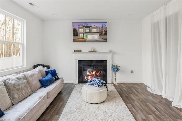 living room featuring dark wood-type flooring