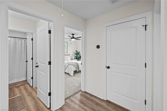 hall featuring light hardwood / wood-style floors