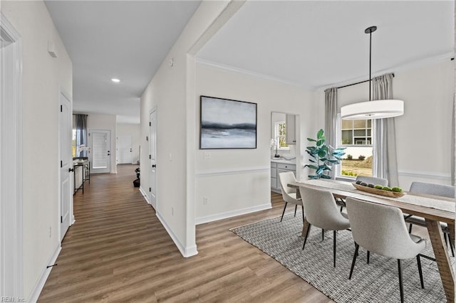 interior space featuring dark hardwood / wood-style flooring and crown molding