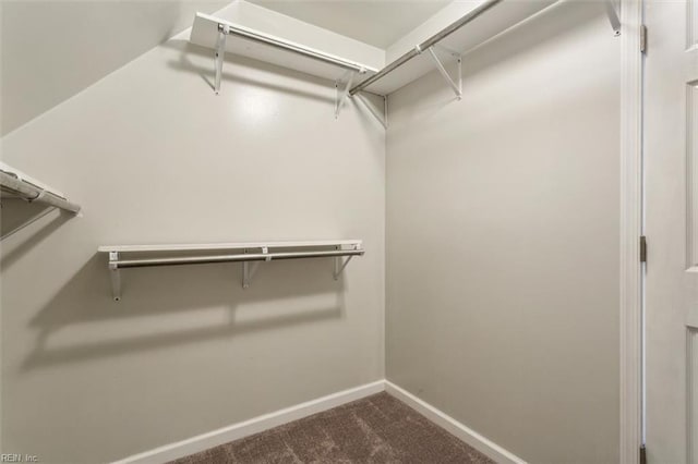 walk in closet with carpet floors