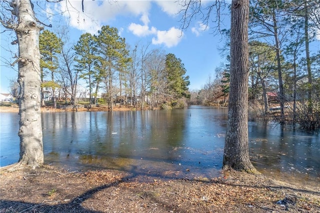 property view of water