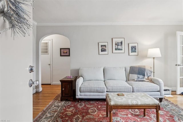 living room featuring hardwood / wood-style floors and ornamental molding