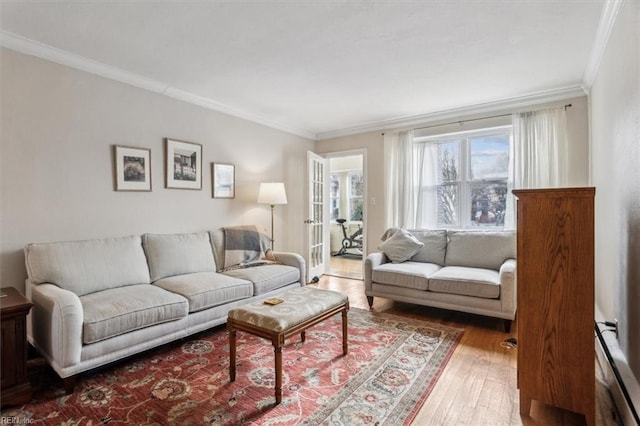 living room with crown molding and wood-type flooring