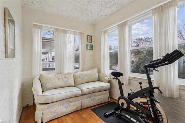 workout room featuring wood-type flooring