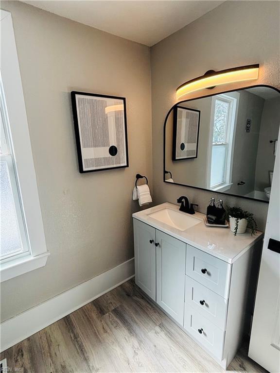 bathroom featuring wood-type flooring, a wealth of natural light, and vanity