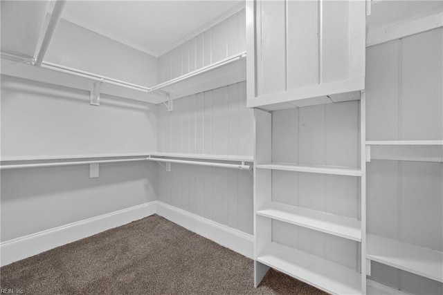 spacious closet with carpet floors