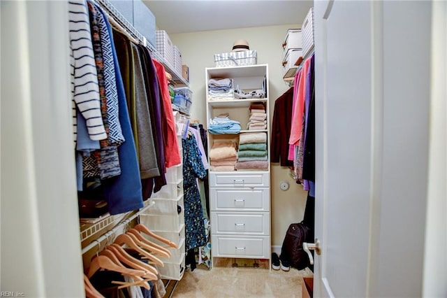 walk in closet with light colored carpet