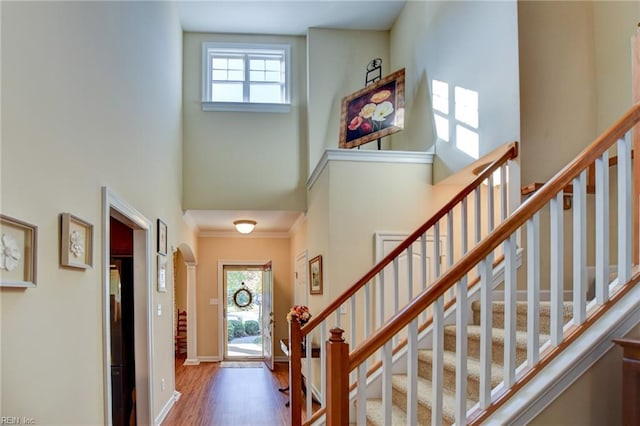 entrance foyer featuring a high ceiling and wood-type flooring