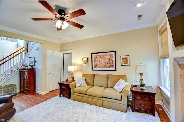 living room featuring ceiling fan, crown molding, and wood-type flooring