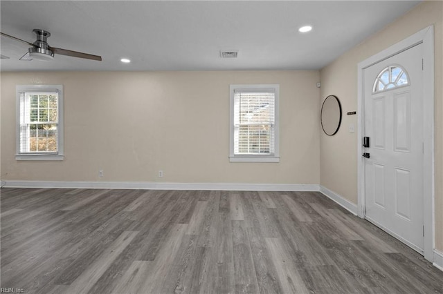 entryway with wood-type flooring, a healthy amount of sunlight, and ceiling fan