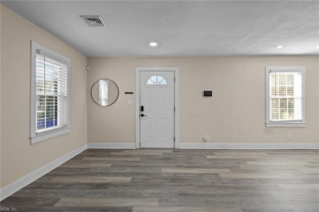 entryway with a healthy amount of sunlight and dark hardwood / wood-style flooring