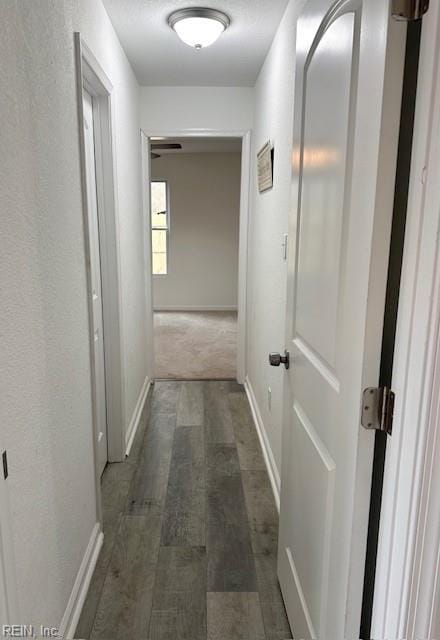 hall with dark hardwood / wood-style flooring