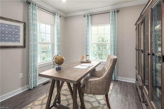 office space featuring dark hardwood / wood-style flooring and a wealth of natural light