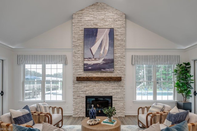 living room with wood-type flooring, high vaulted ceiling, and a fireplace