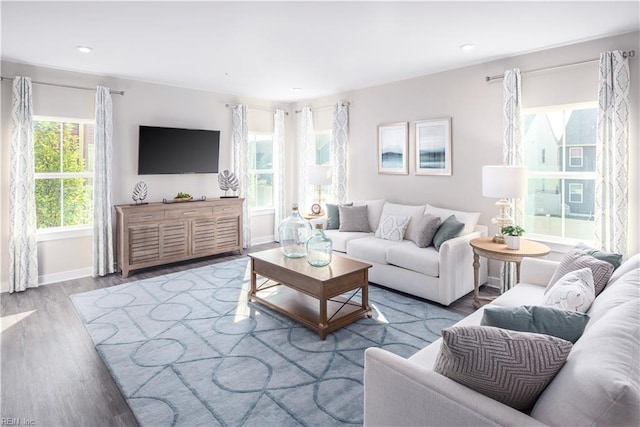 living room featuring hardwood / wood-style flooring