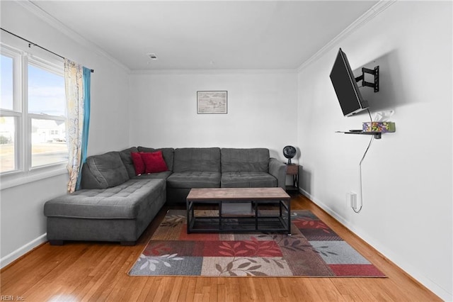 living room featuring hardwood / wood-style flooring and crown molding