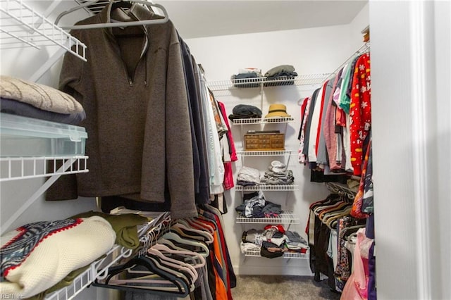 spacious closet featuring carpet floors