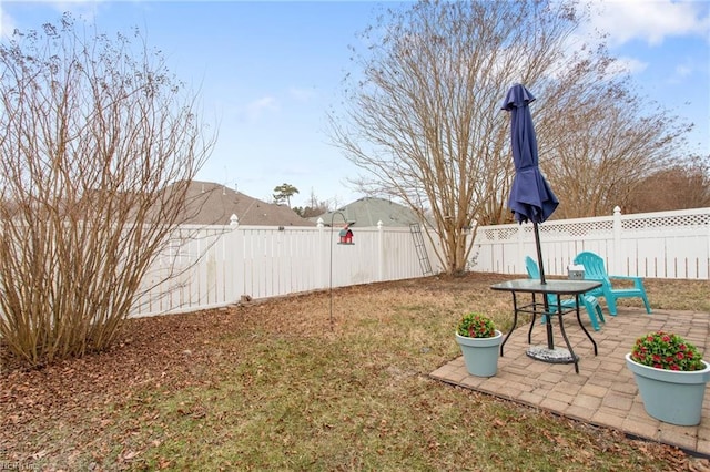 view of yard featuring a patio