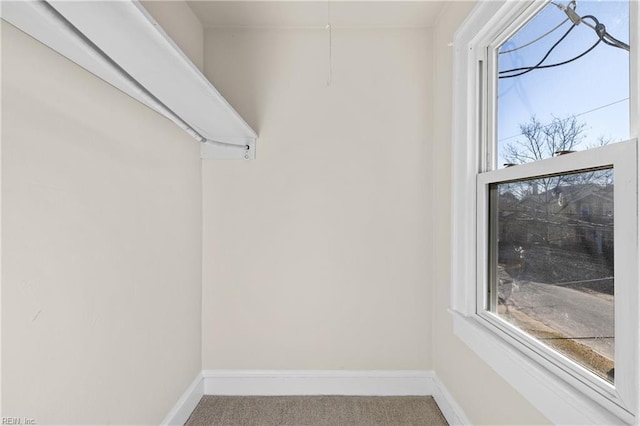 walk in closet featuring carpet floors