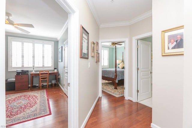 hall with crown molding, plenty of natural light, and dark wood-type flooring