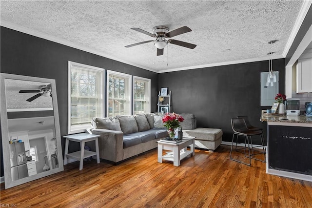 living room with crown molding, hardwood / wood-style flooring, a textured ceiling, and ceiling fan