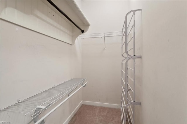 spacious closet featuring carpet floors