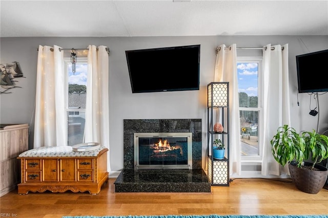 living room with hardwood / wood-style flooring and a high end fireplace