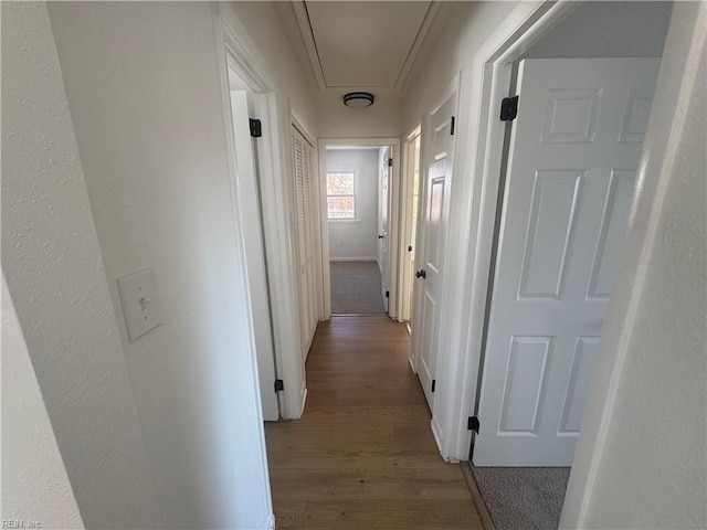 corridor featuring light hardwood / wood-style flooring