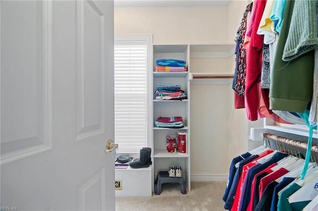 spacious closet featuring light carpet