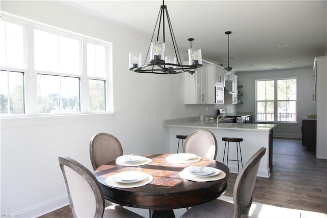 dining area featuring dark hardwood / wood-style flooring and sink