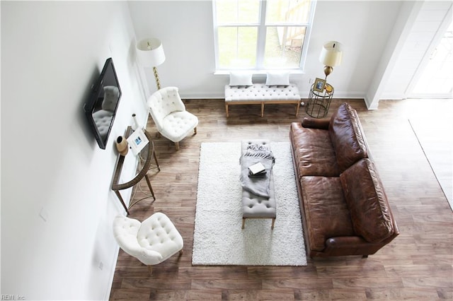 living room with wood-type flooring