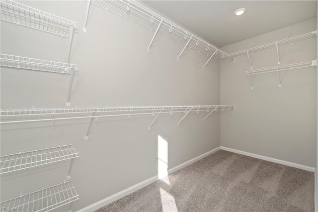 walk in closet featuring carpet