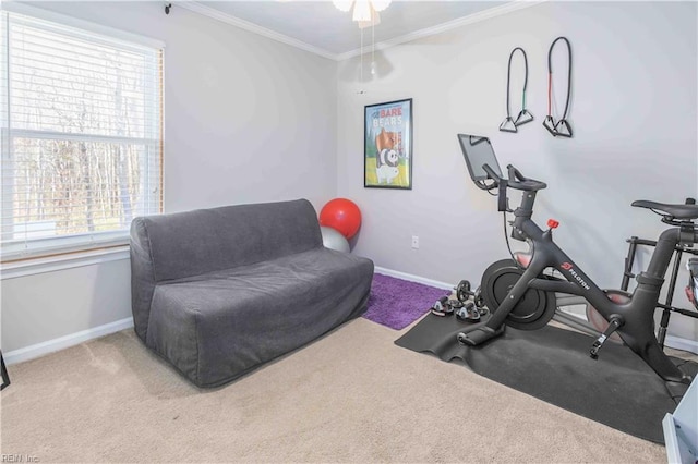 workout area with ornamental molding and carpet