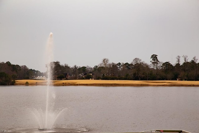 view of water feature