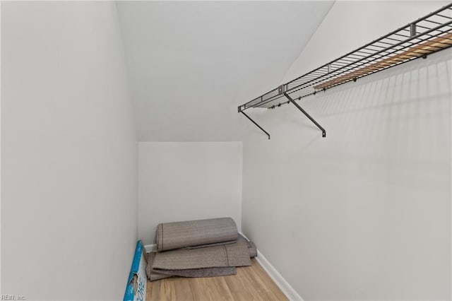 spacious closet with wood-type flooring