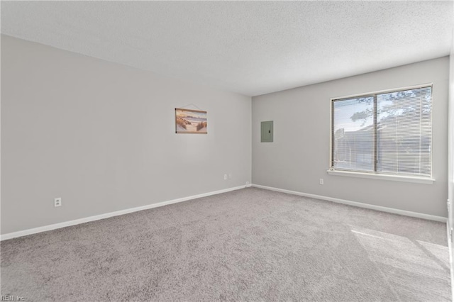 spare room with light colored carpet, a textured ceiling, and electric panel