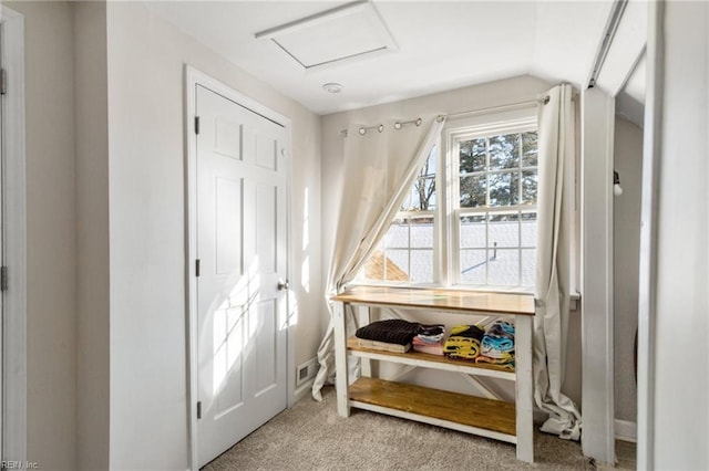 interior space with light carpet and lofted ceiling