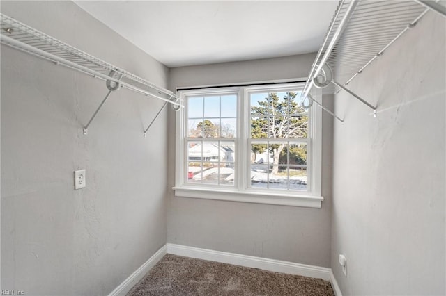 walk in closet with carpet