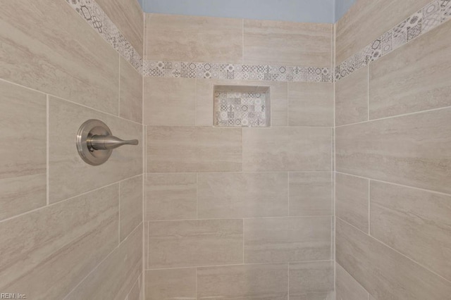 room details with tiled shower