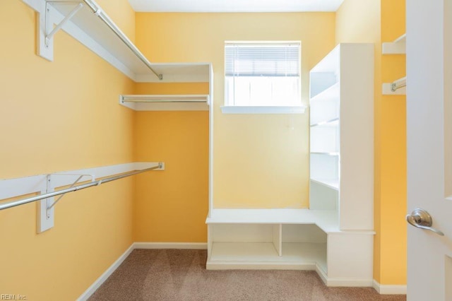 spacious closet featuring light colored carpet