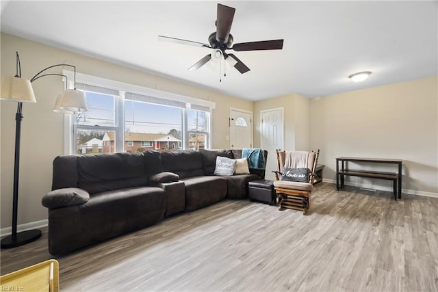 living room with ceiling fan and light wood-type flooring