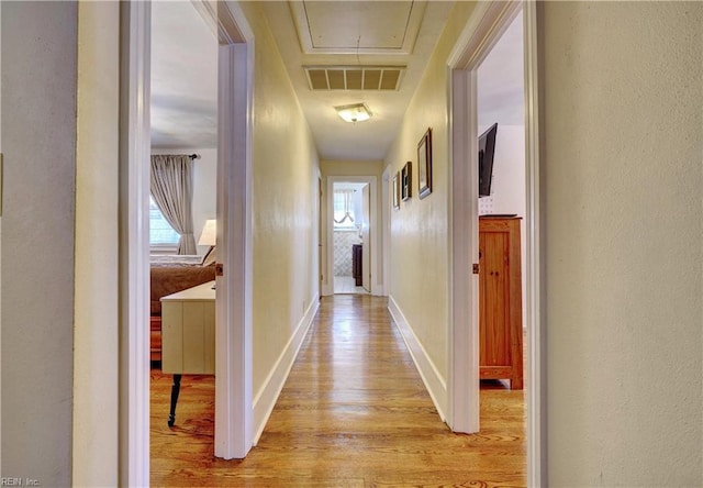 hall featuring light hardwood / wood-style floors