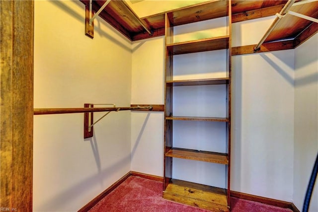 walk in closet with carpet