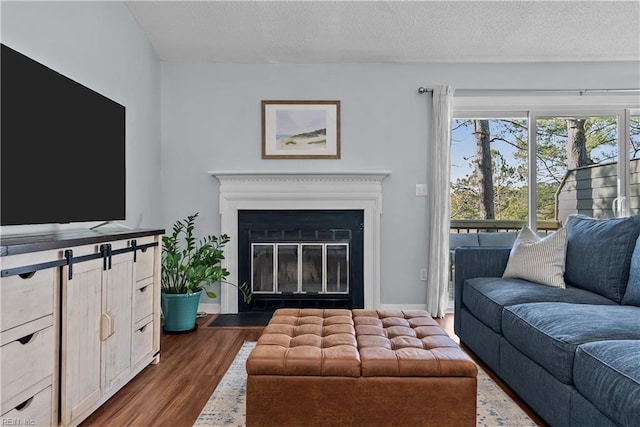 living room featuring dark wood-type flooring and a textured ceiling